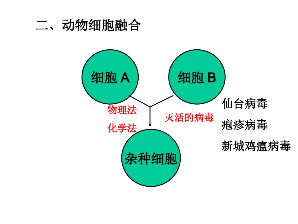 单克隆抗体技术_第2页