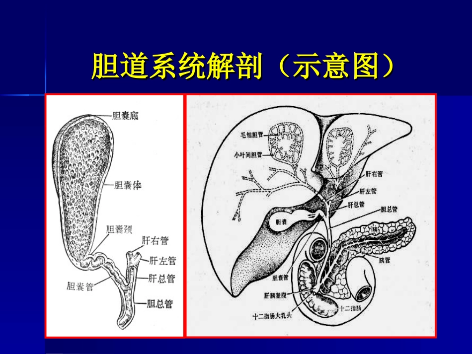 胆道梗阻的影像学诊疗讲义_第2页