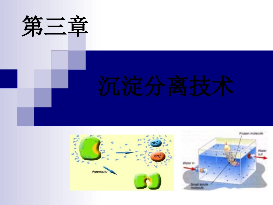 蛋白质核酸沉淀分离的技术_第1页