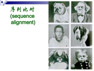 蛋白质序列基础知识与打分矩阵