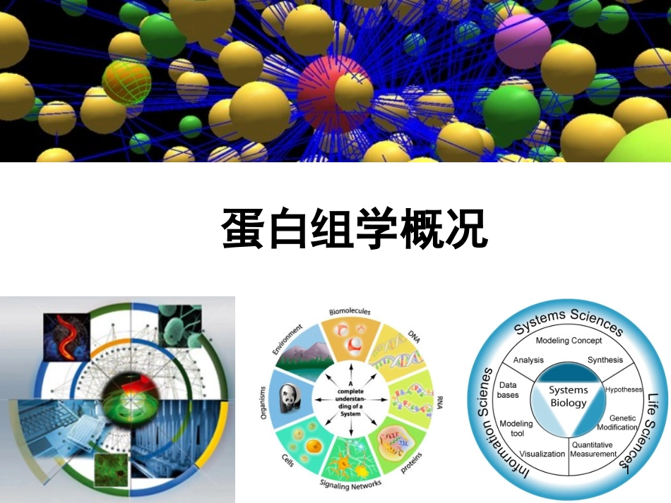 蛋白组学概论_第1页