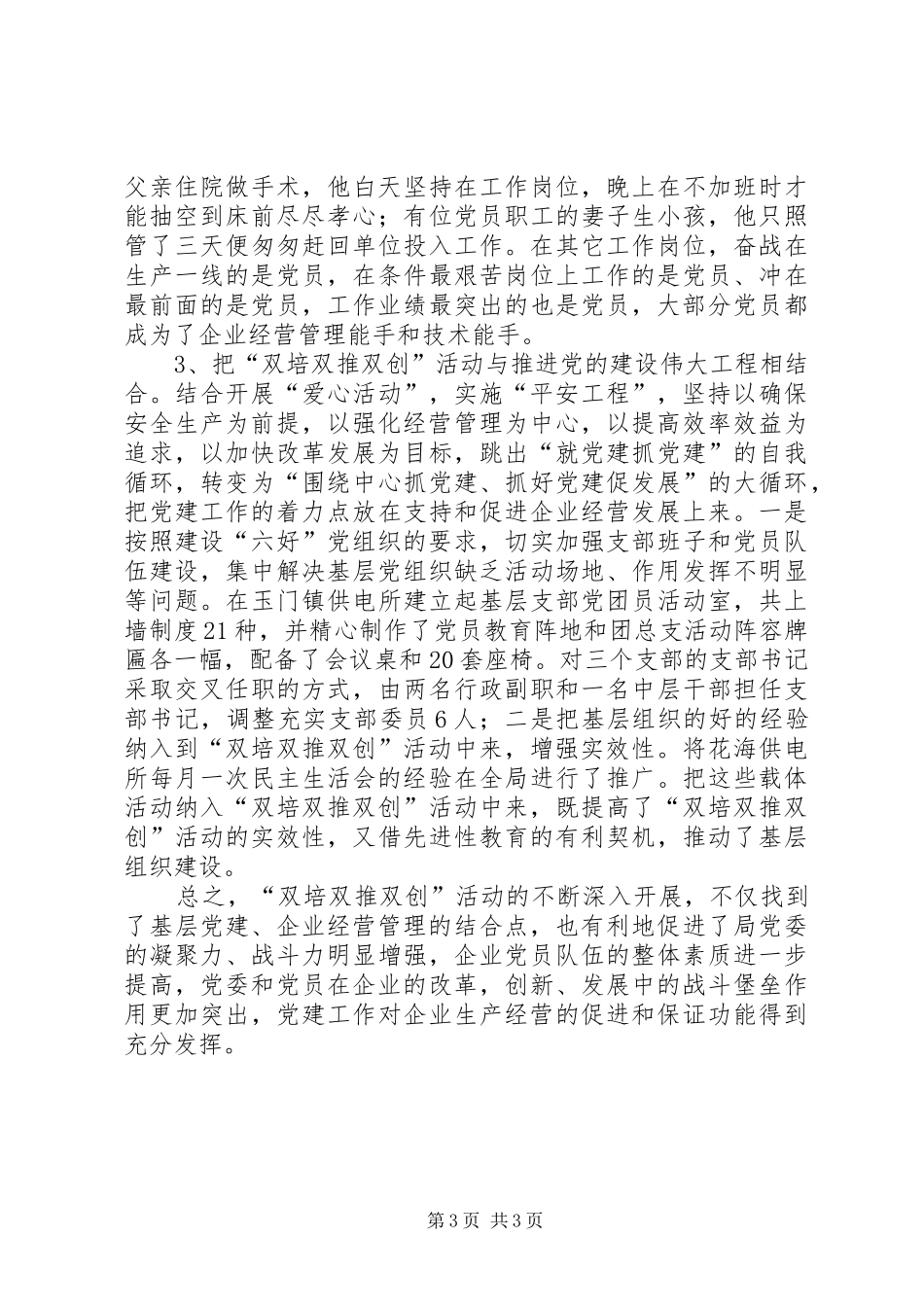 双创双培计划总结_第3页