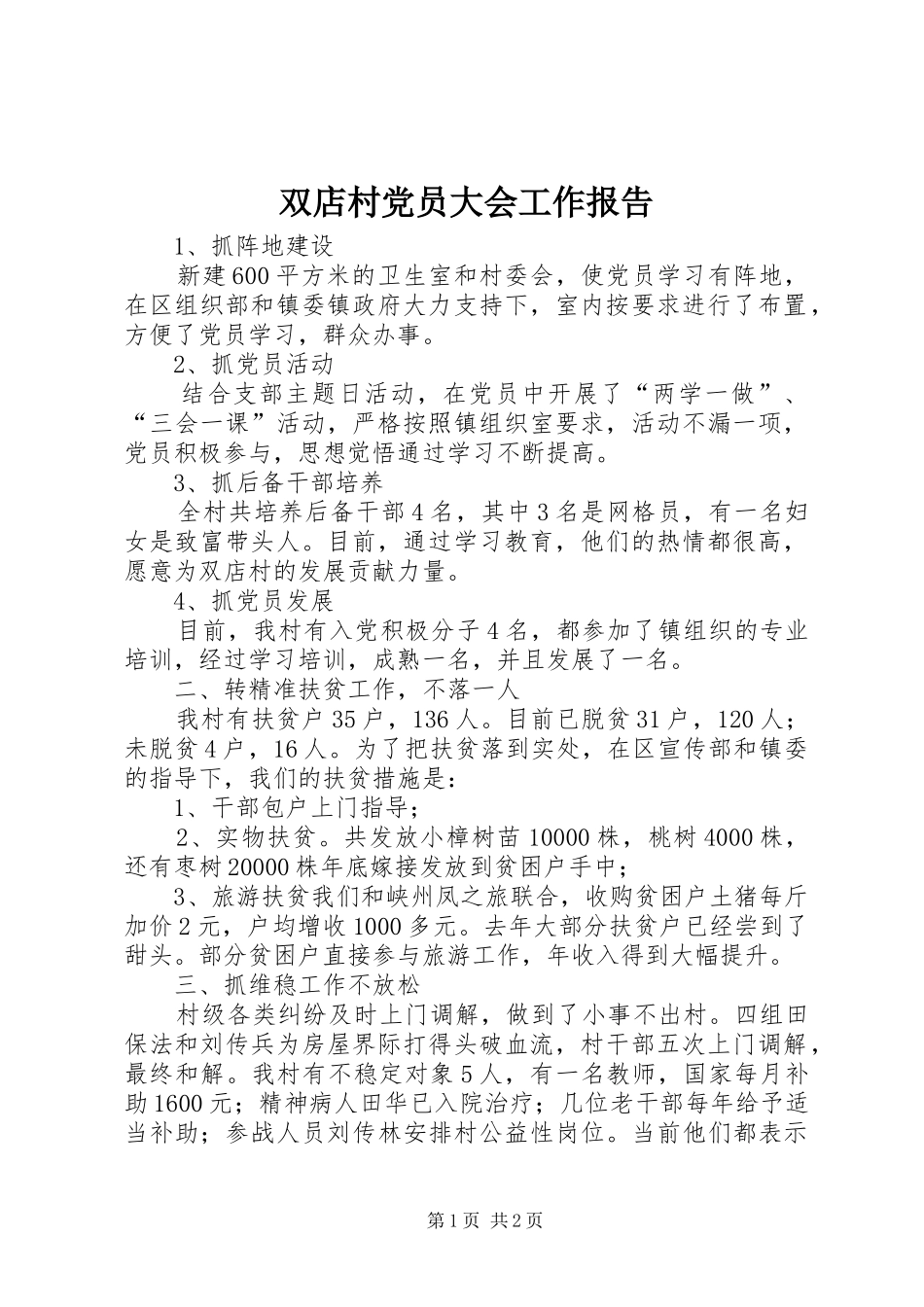 双店村党员大会工作报告_第1页
