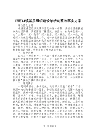 双河口镇基层组织建设年活动整改落实方案