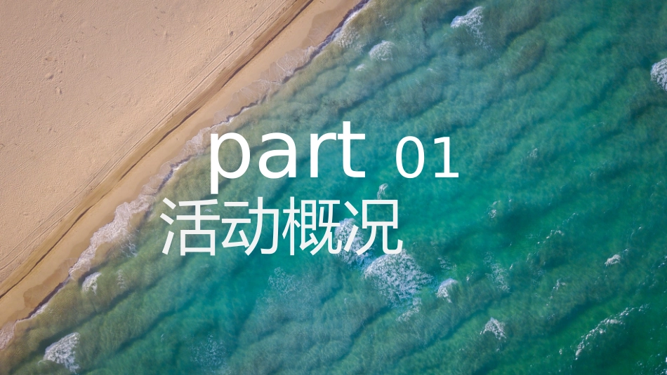 地产项目夏日沙滩狂欢派对活动策划方案_第3页