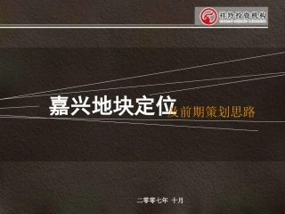 地块定位及前期策划方案