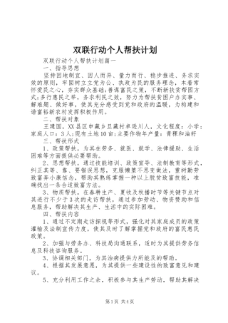 双联行动个人帮扶计划
