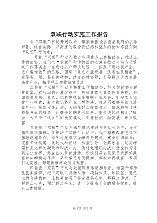 双联行动实施工作报告