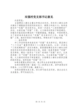 双强村党支部书记意见