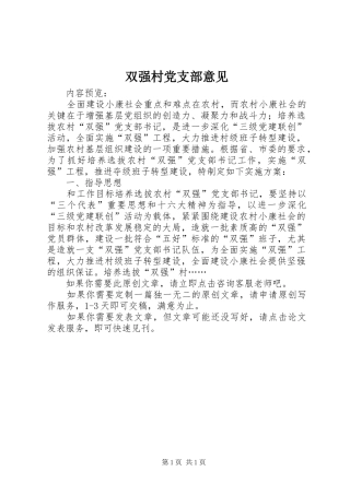 双强村党支部意见