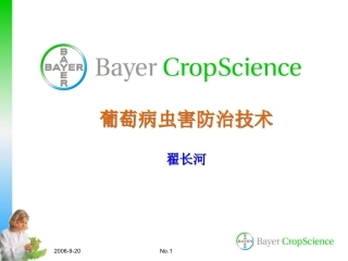 的葡萄病虫害防治技术