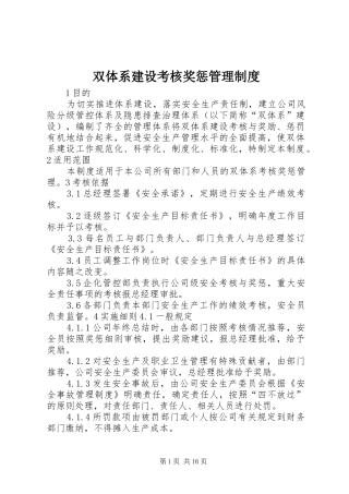 双体系建设考核奖惩管理制度