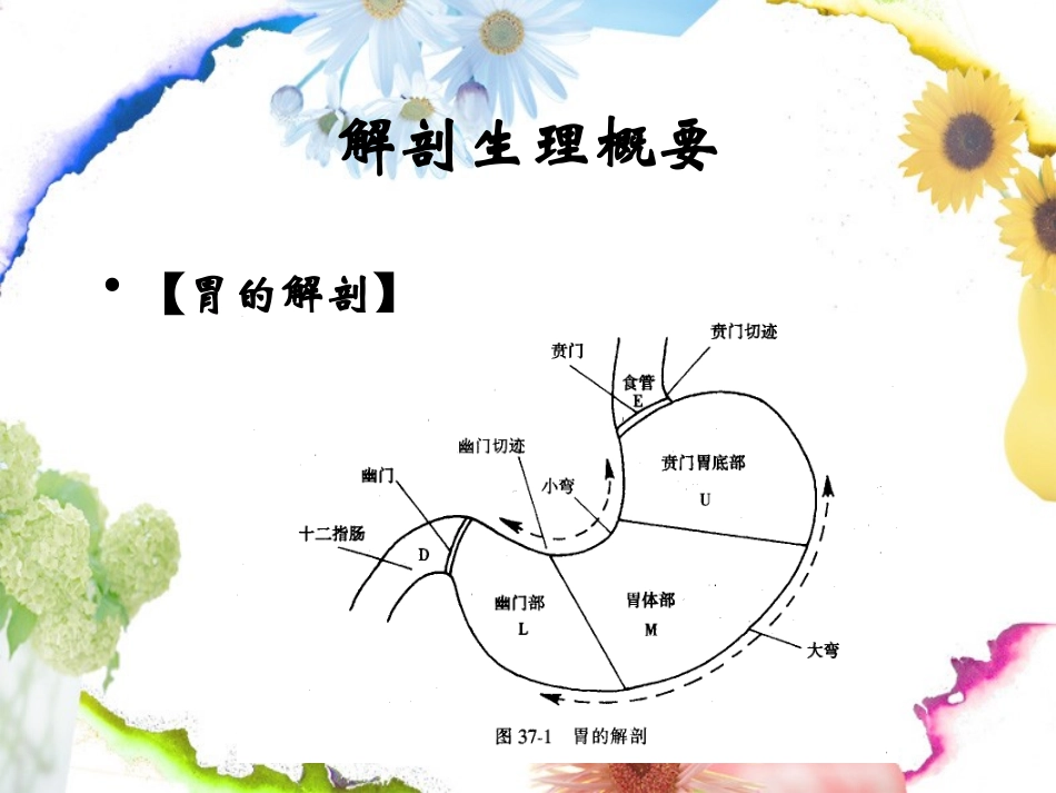 第10次课-胃十二指肠溃疡_第2页