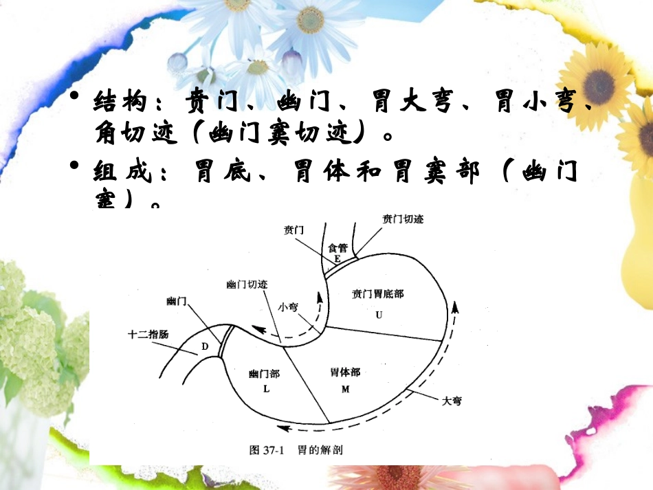 第10次课-胃十二指肠溃疡_第3页