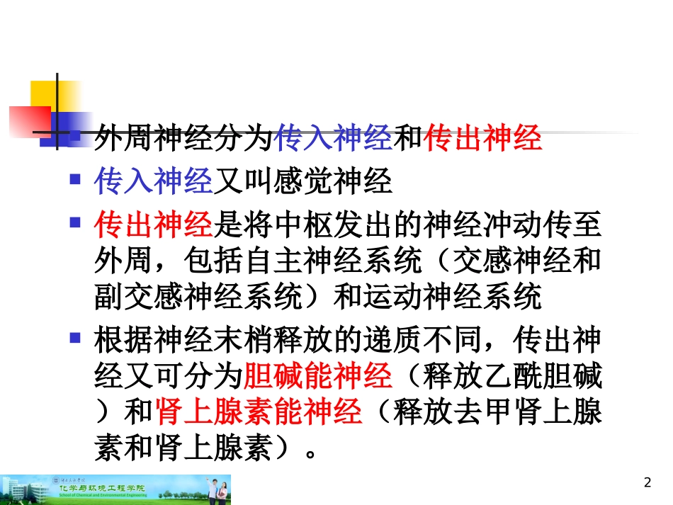 第12篇作用于肾上腺素能受体药物_第2页