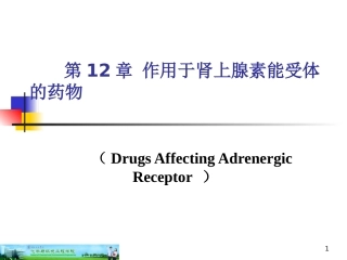 第12篇作用于肾上腺素能受体药物