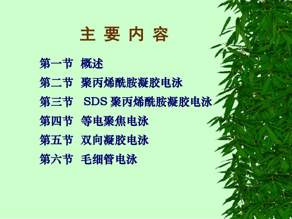 第八章电泳分离技术_第2页