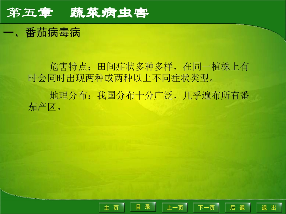 第二节茄科蔬菜病虫害园艺植物病虫害防治课件_第2页