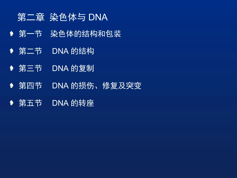 第二章染色体与DNA_第2页