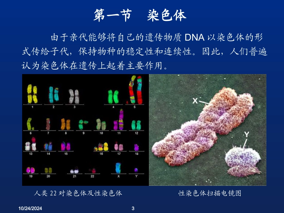 第二章染色体与DNA_第3页