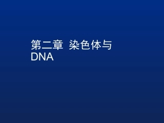 第二章染色体与DNA