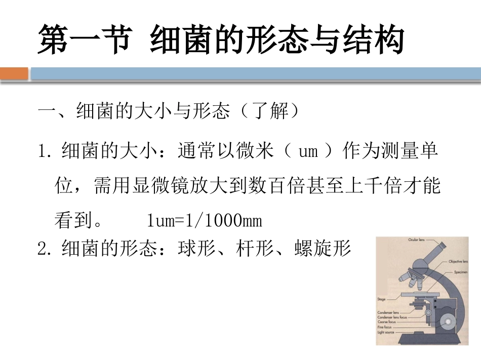 第二章细菌概述_第2页