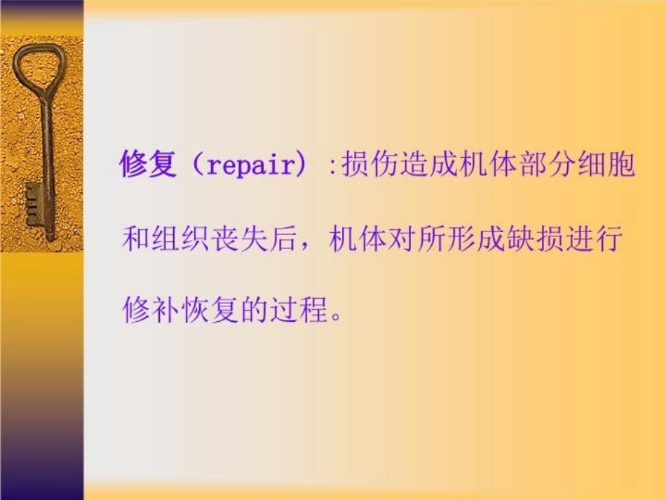 第二章组织的修复_第2页