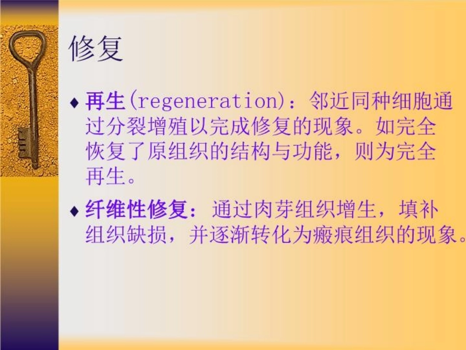 第二章组织的修复_第3页