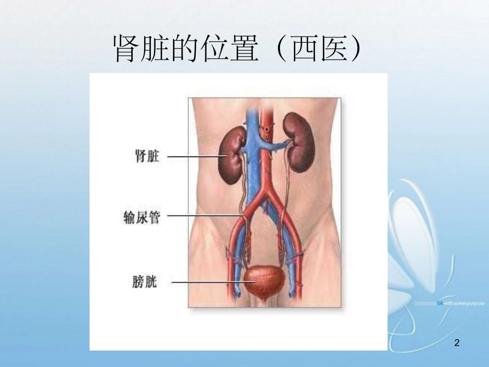 第九讲先天之本肾_第2页