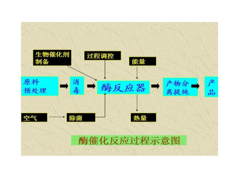 第九章酶的反应器_第3页