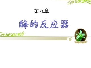 第九章酶的反应器