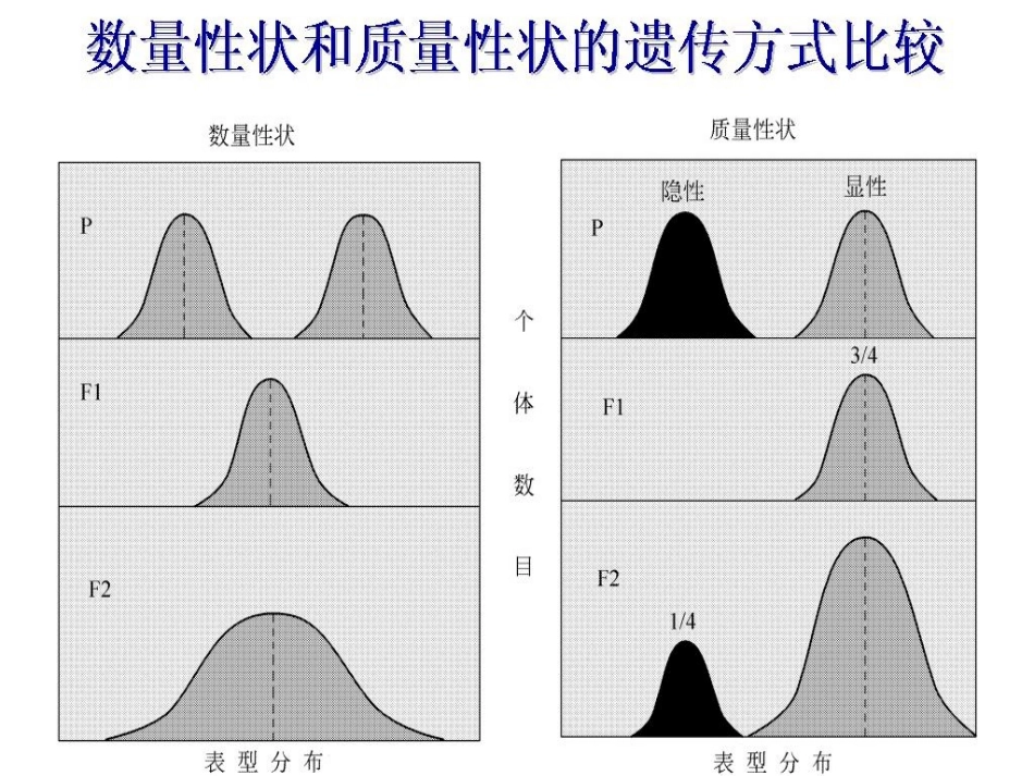 第九章数量性状遗传分析分解_第3页