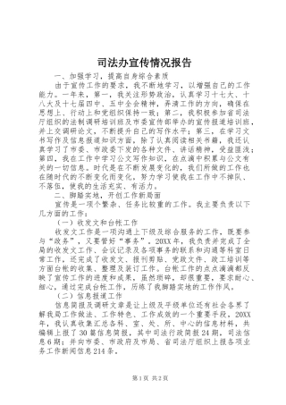司法办宣传情况报告