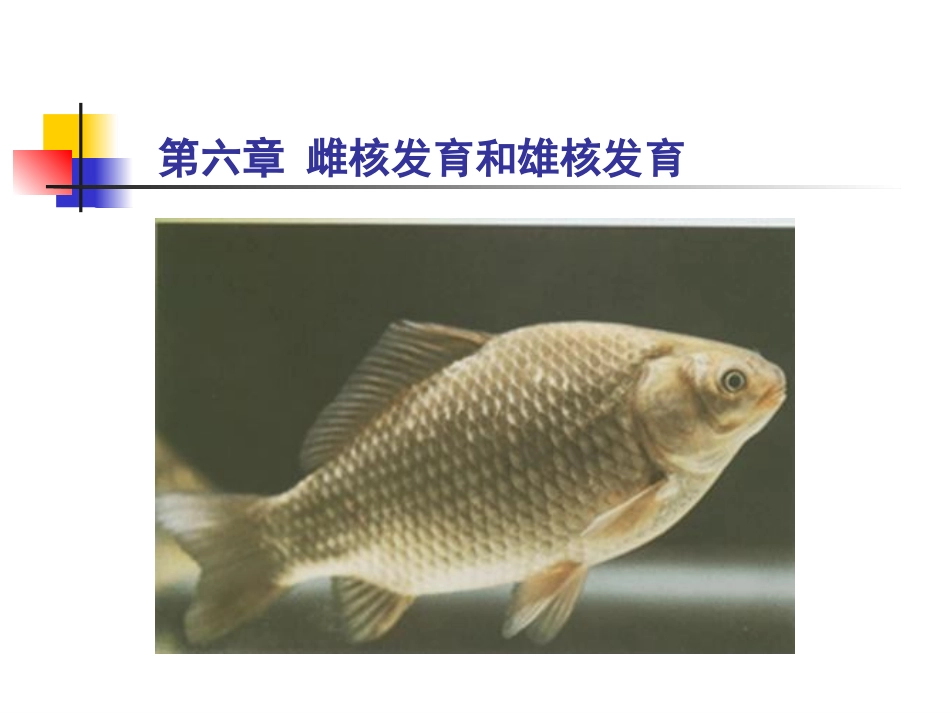 第六章雌核发育和雄核发育总结_第1页