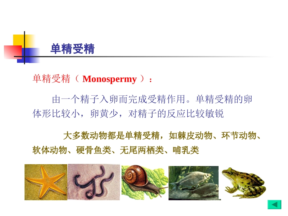 第六章雌核发育和雄核发育总结_第3页