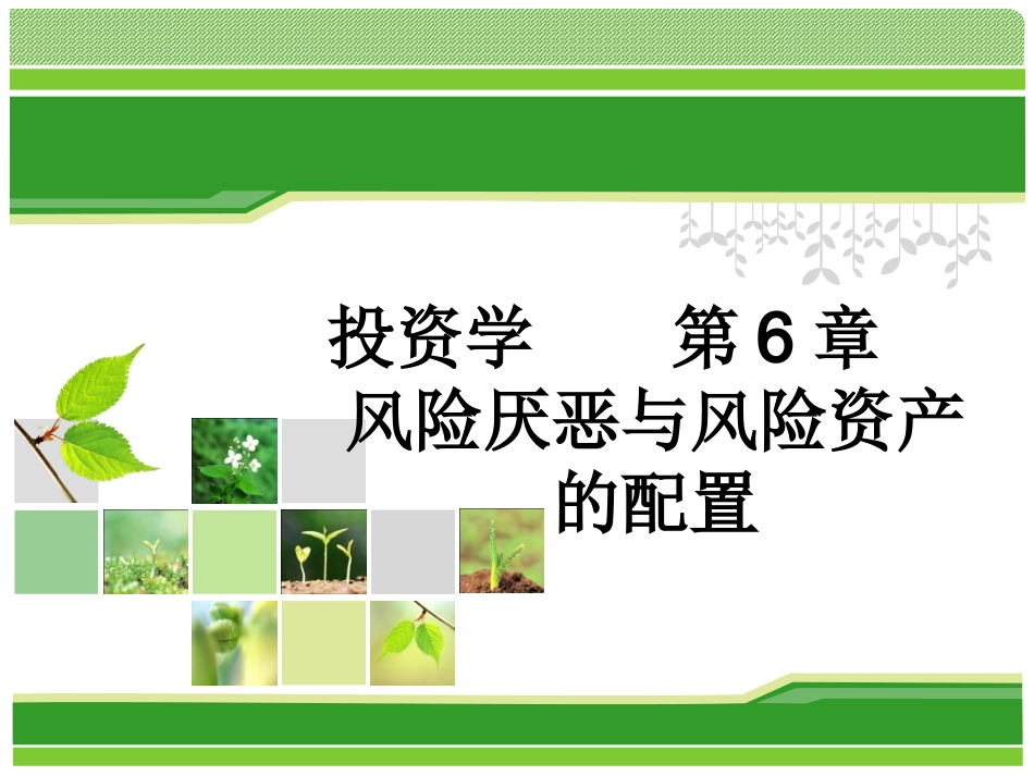 第六章风险厌恶与风险资产的配置_第1页