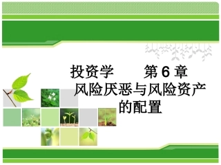 第六章风险厌恶与风险资产的配置