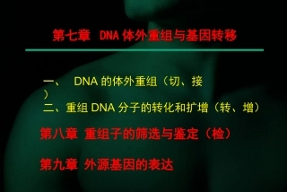 第七章DNA体外重组与基因转移总结