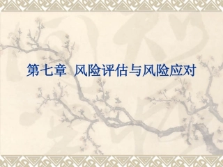 第七章风险评估与风险应对
