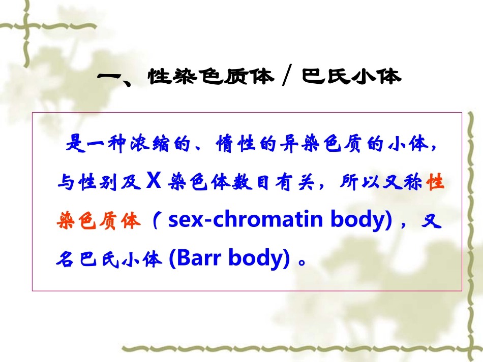 第三节剂量补偿效应_第2页