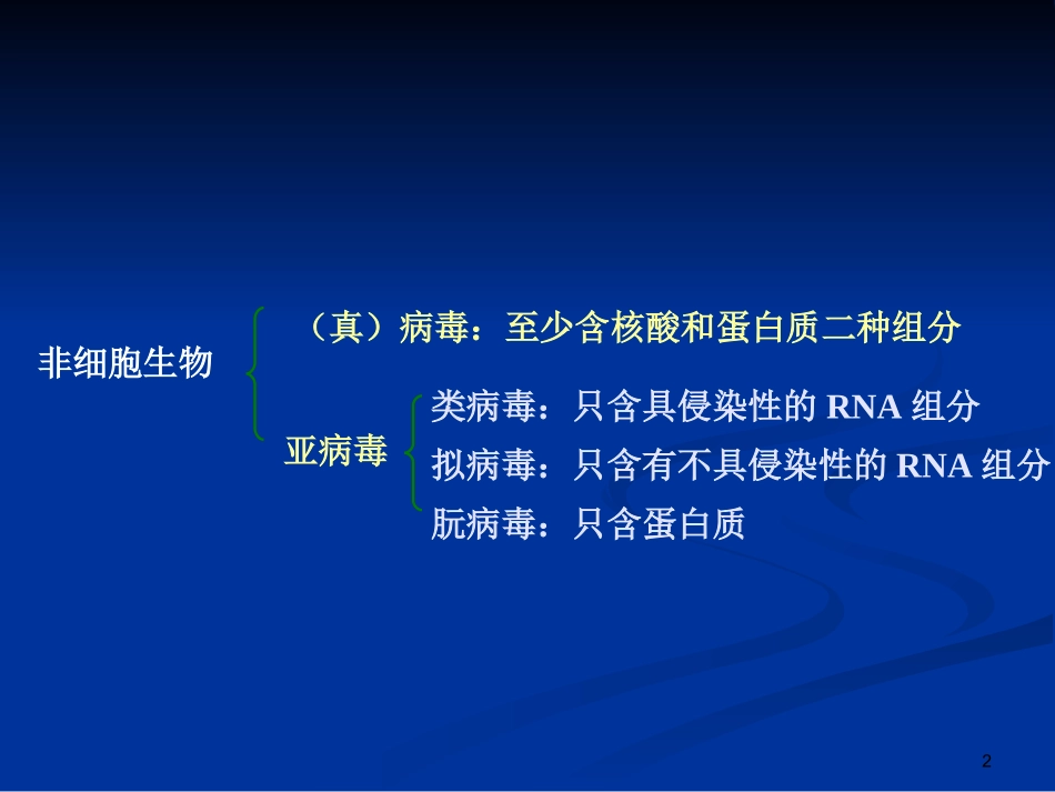 第三章病毒和亚病毒_第2页
