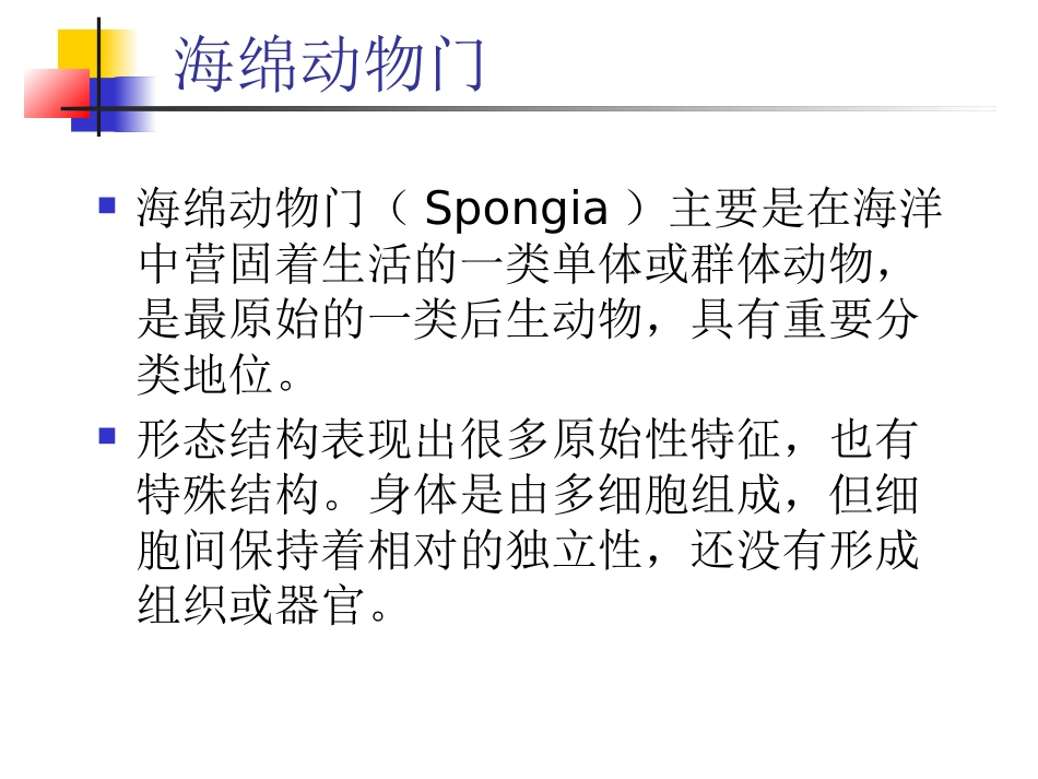 第三章海绵动物及腔肠动物_第1页