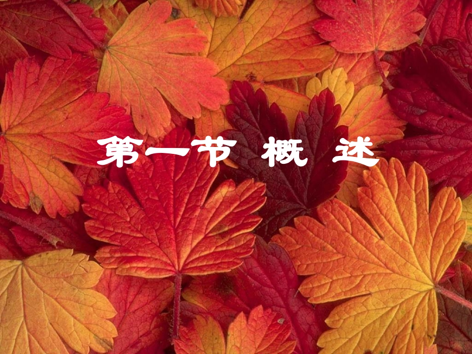 第十九眼眶病和肿瘤_第2页