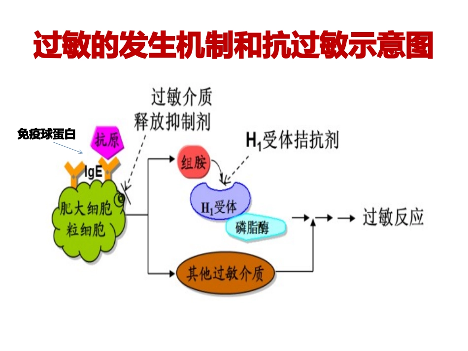 第十九章作用于组胺受体及胃酸分泌系统的药物_第3页