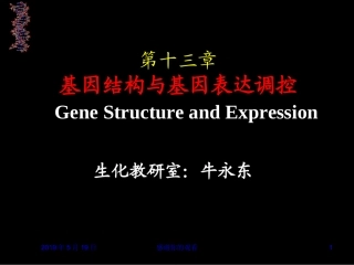 第十三章基因结构与基因表达调控