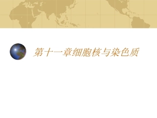 第十一章细胞核与染色质
