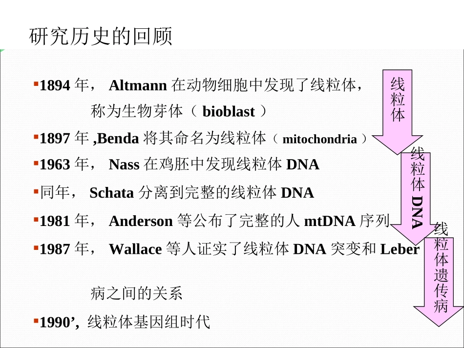 第十章线粒体遗传病_第3页