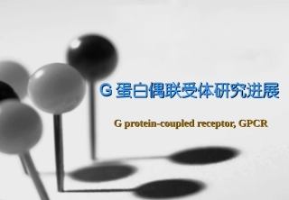 第四讲G蛋白偶联受体研究进展