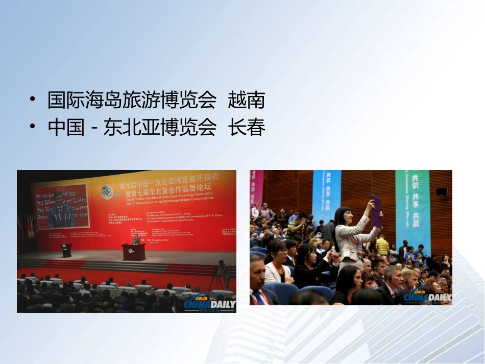 第四讲会展项目可行性分析模板_第3页