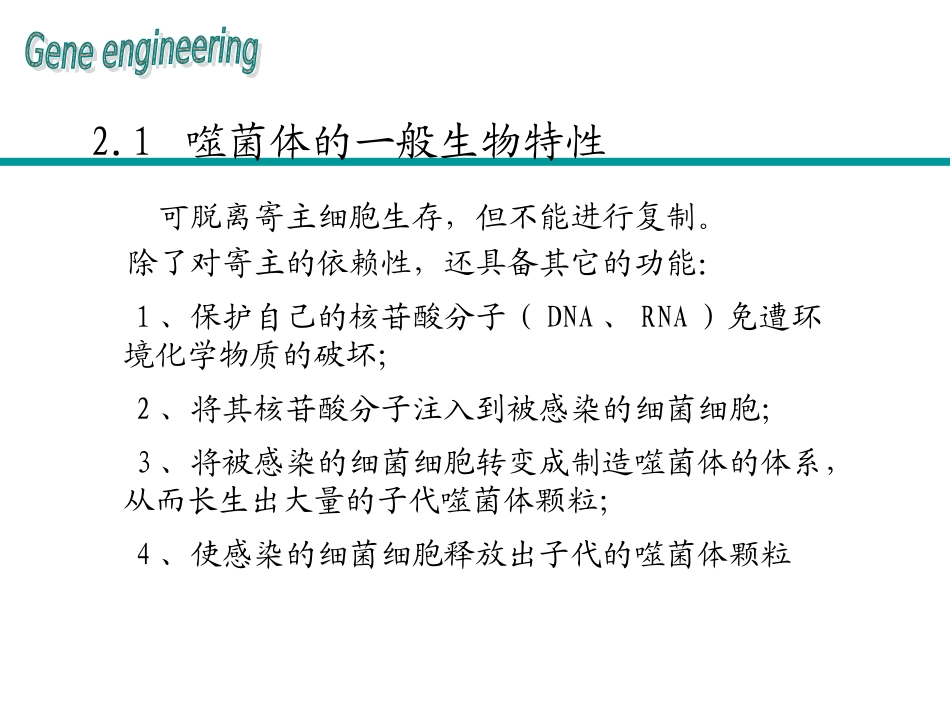 第四章基因克隆的载体噬菌体载体_第2页
